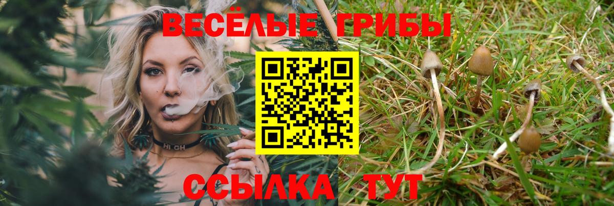 Соль-Илецк  Псилоцибиновые грибы Magic Shrooms  Вход с VPN  купить наркотик  Псилоцибиновые грибы мухоморы 