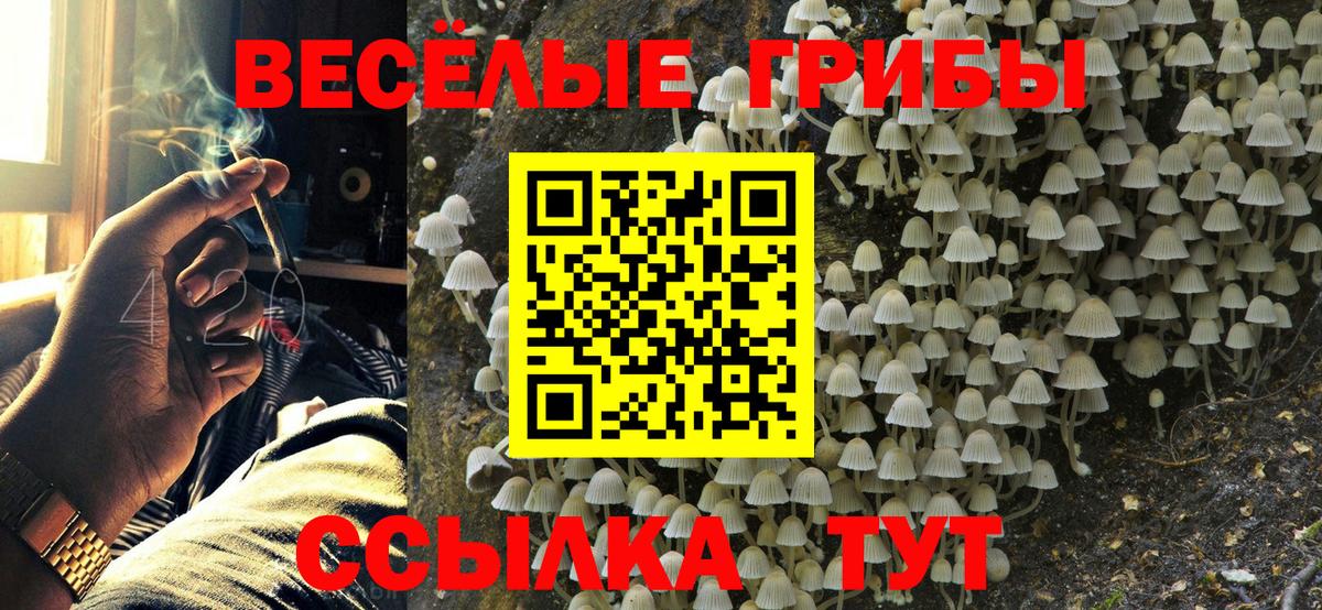 Галлюциногенные грибы Magic Shrooms Соль-Илецк