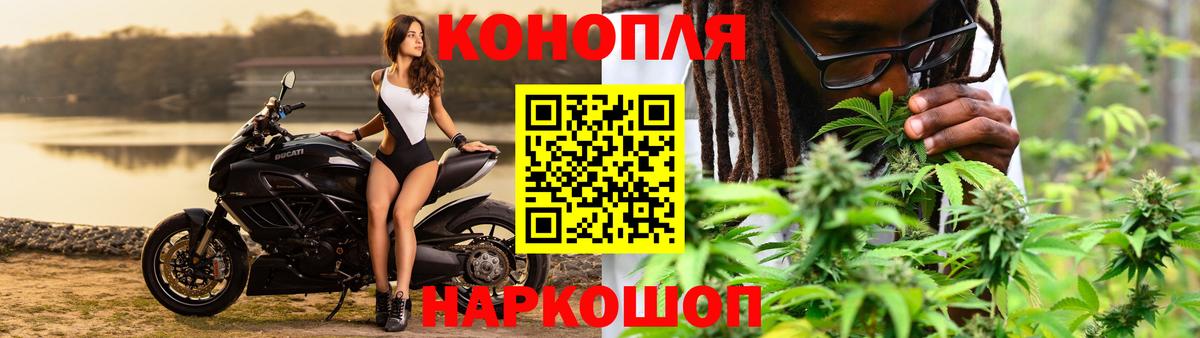 Бошки марихуана Amnesia  Бошки марихуана Amnesia  Соль-Илецк  Бошки Шишки сатива  Вход с VPN 
